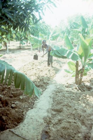 DW worked with OMA (Angola women's organization) on this project to build latrines.